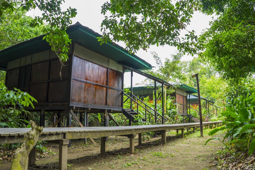 Amazon Planet Hotel Tambopata Exterior foto